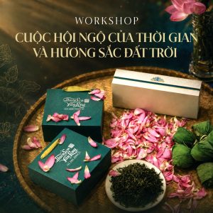 Bảng Vẽ 2